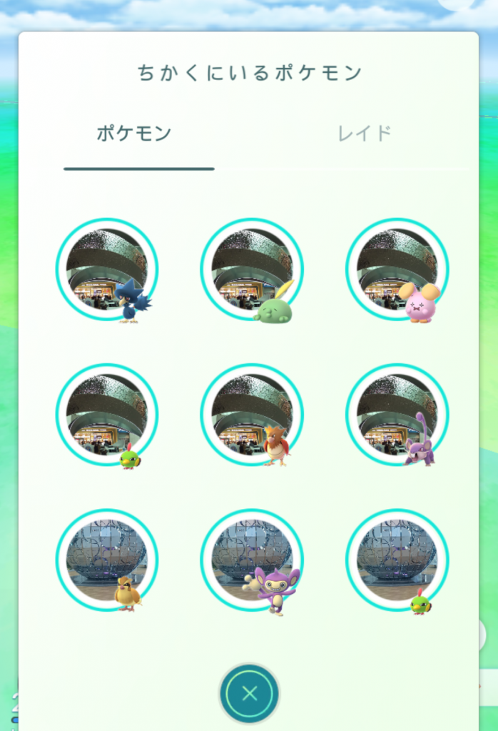 ちかくにいるポケモン