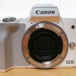Canon EOS kissMレビュー!実際のサンプル画像あり!ペットや子供撮影、女子にもおすすめ。