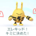 ポケモンgoの相棒を変えてみました。抱っこもするよ!