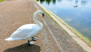 休み明けに退職したい！怖くてストレスを抱えている方へ。会社への連絡が不要に！？