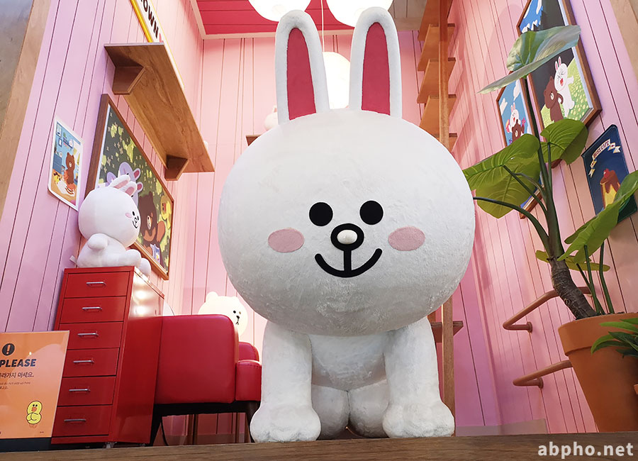 かわいいコニー