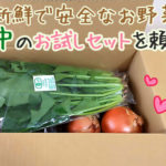 農薬や化学肥料に頼らないお野菜・坂ノ途中のお試しセット!口コミ・感想