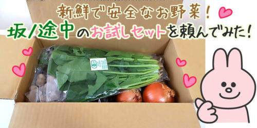 農薬や化学肥料に頼らないお野菜・坂ノ途中のお試しセット！口コミ・感想