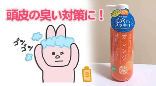 頭皮の臭い対策に！天然由来のおすすめシャンプー