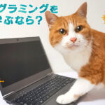 【初心者向けに簡単に説明】プログラミングを学ぶなら？おすすめ本３選とスクール！