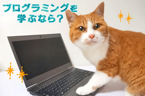 【初心者向けに簡単に説明】プログラミングを学ぶなら?おすすめ本3選とスクール!
