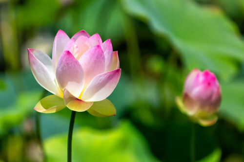 ネットオフとアフィリエイト提携できるASPは？豊富なサービス一覧（2023年5月版）